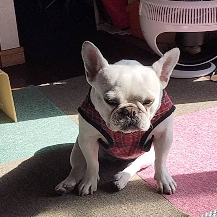 C77d985b 2d3f 456e a958 f2b2a81d9145 1677882932157