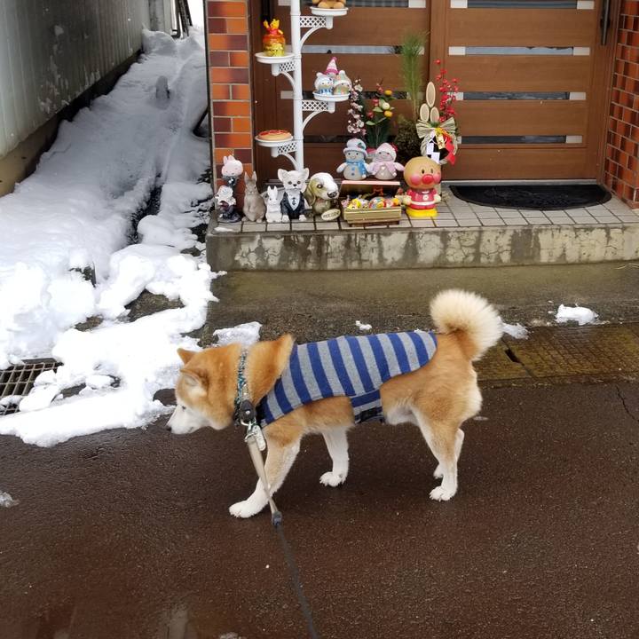 C77da92a f72d 4a55 8cc6 c96b1eedc096 1704689331281