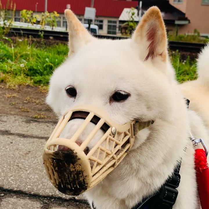 C77db529 7914 4dc5 b4ec 2adbb9e17803 1663362032913