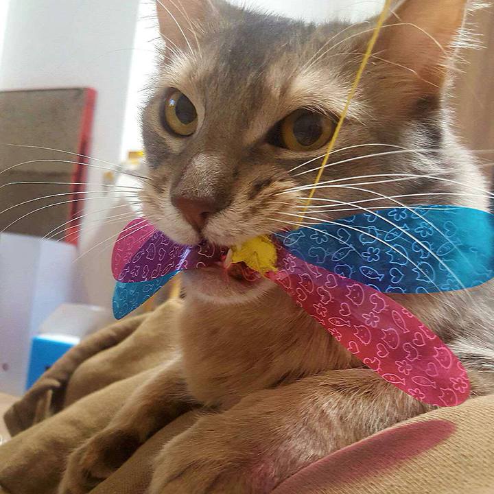 C77de745 3c2d 4436 8147 0bb9696c7e98 1546687707610