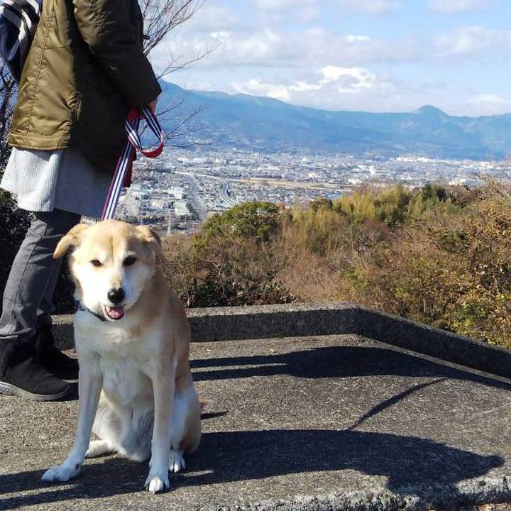 C77e089e f7ea 407c baa0 d18853d5e9ca 1577852685564