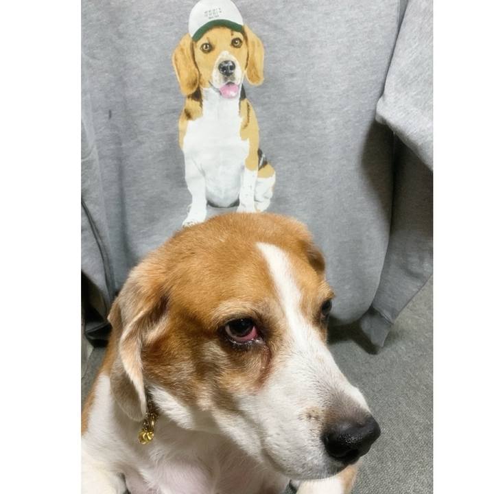 C77e1aca 5fcc 4666 8d72 0f04a0137426 1769388272895