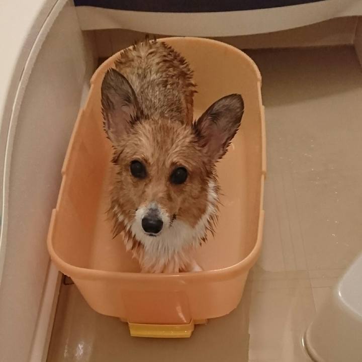 C77e745c 3125 4258 8ab2 46bea8198d01 1512722481714