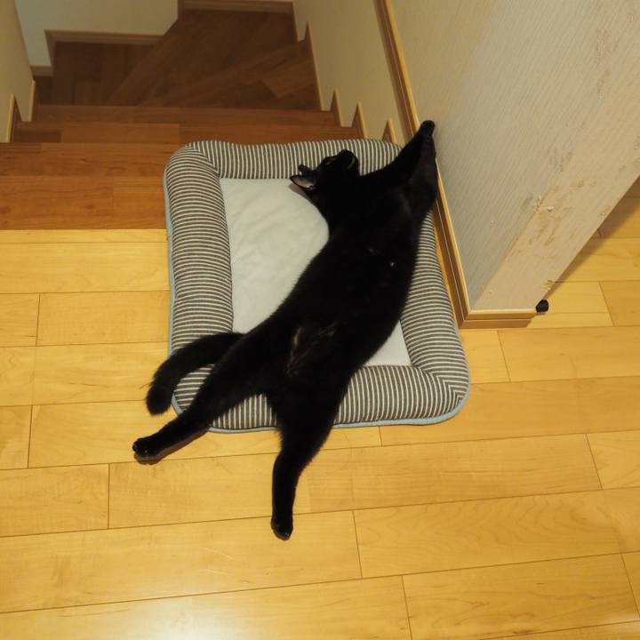 C77ea260 b3ea 44b6 a88d c5c60d6b3cc2 1536537150725