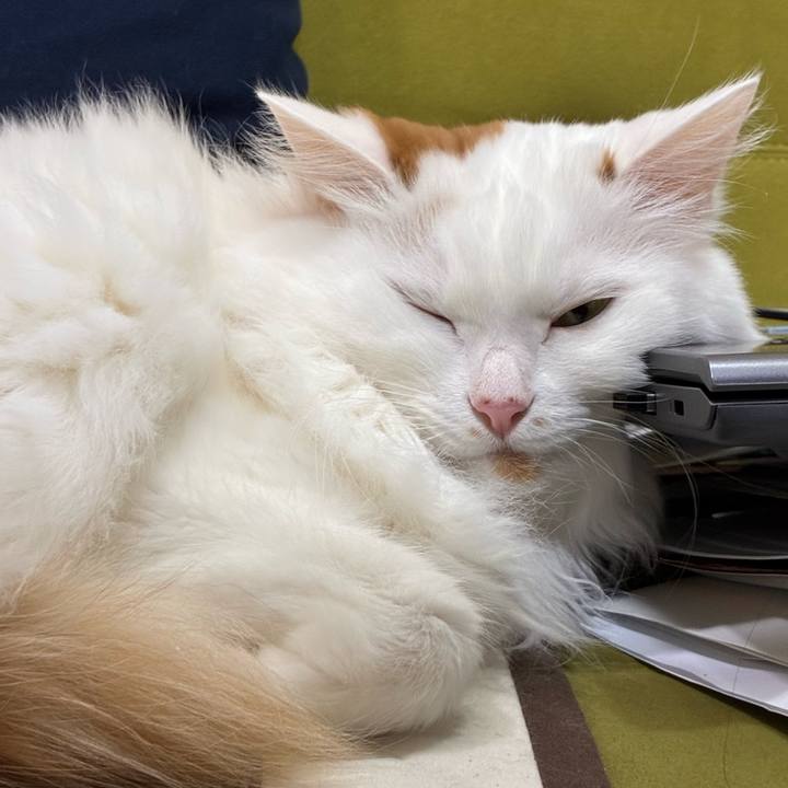 C77eadde 78fa 4775 94ca 4b11381b5b1a 1766374654706