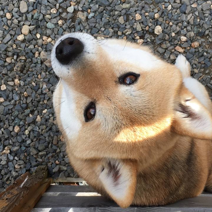 C77ed506 c1cf 4524 b122 5b9d2febe971 1521771308100