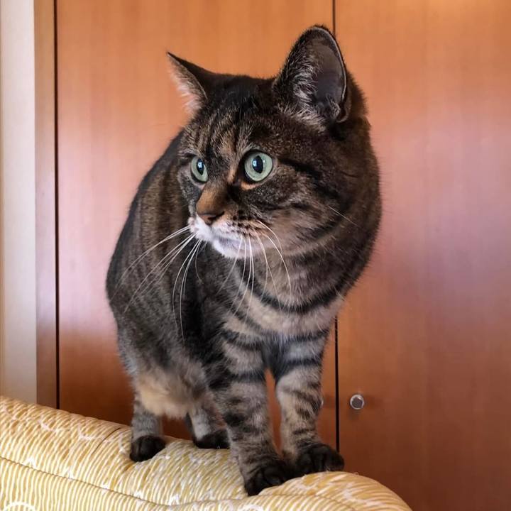 C77ed926 eae3 4c39 bfbf 42585fdf6fdb 1774568028508