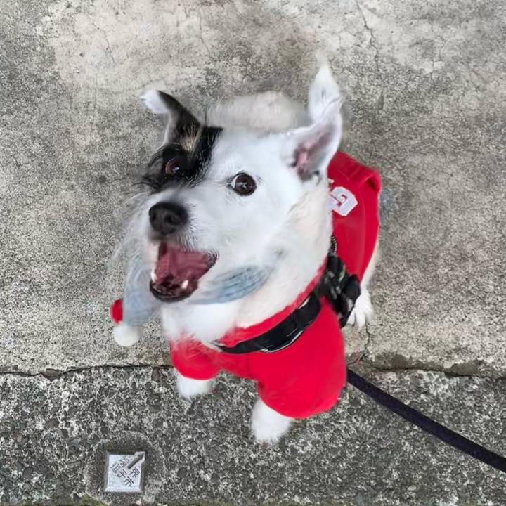 C77f1460 020a 44d2 a633 1ded4420cc37 1706834167464