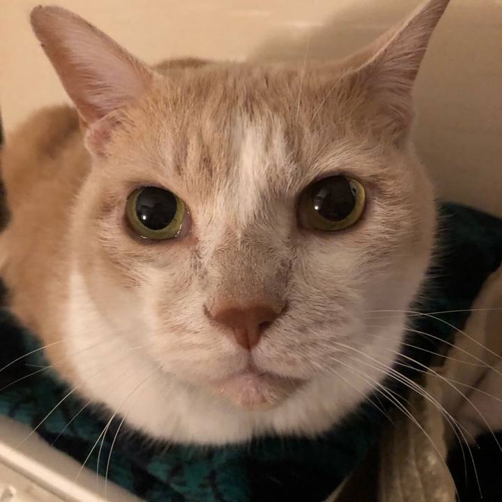 C77f4a32 4e2e 4f9c 8444 7bbe3b30d644 1608039258276