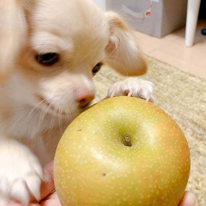 C77f50d1 aea0 4e7e 9ff4 afa827aee9e8 1597133525796