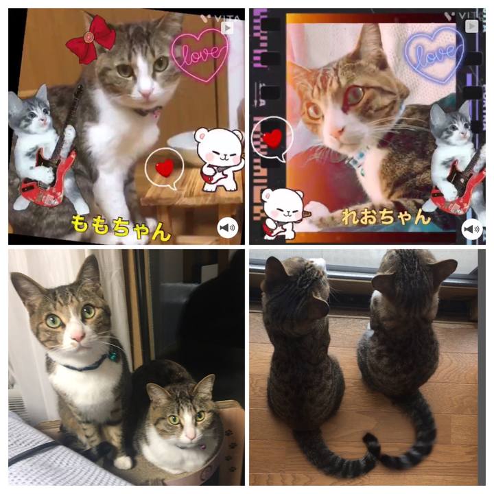 C77f5a7b 4b03 41ee bcb8 890efb4ce966 1691071553088