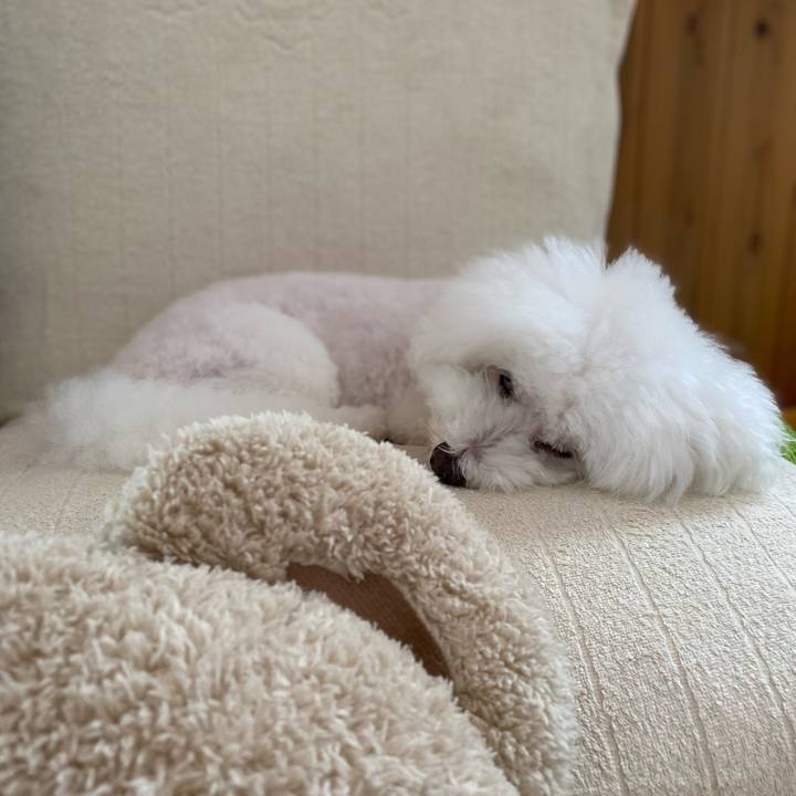 C77f5d3d 9f4d 4c80 a7d2 8f846465c18c 1633575792412