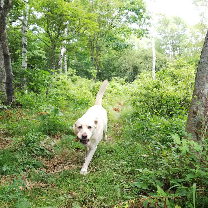 C77f8a34 f482 4bc0 a902 060eebf99200 1534297175472