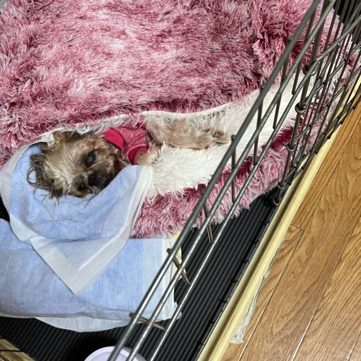 C77f8ee1 3ffb 4ed4 af8d 55ff04deb0b6 1762651504054