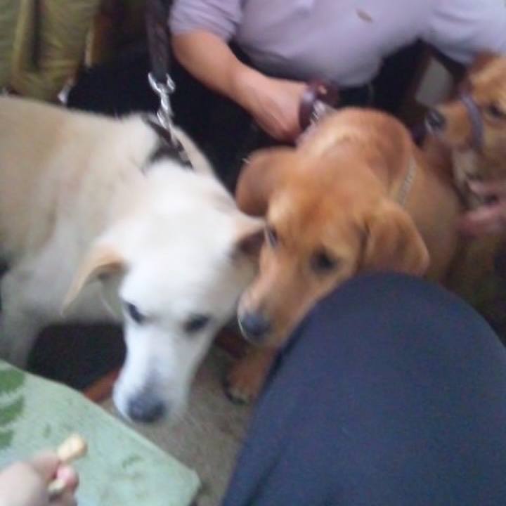 C77fab31 14dc 4f23 b743 37b9f40ab84c 1556556032477