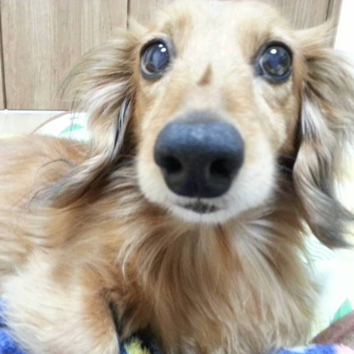 C77fc5ab 2b0b 45a6 b314 a7222bc83e37 1554967697250