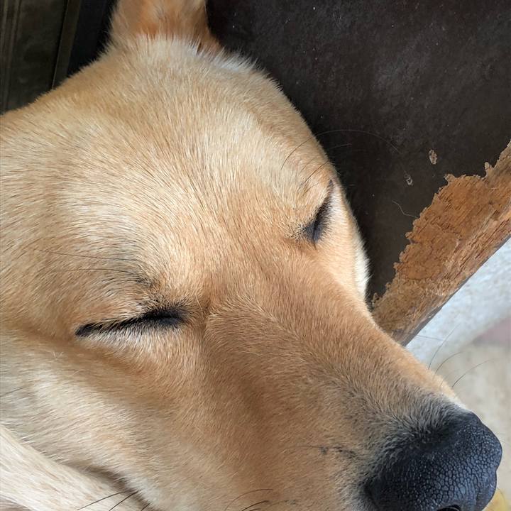 C77fc5ee f028 43de 9135 3abe772067f4 1527739393390