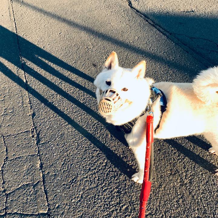 C78015f3 533c 4fbd 8fda 443934fe87e4 1663796032543