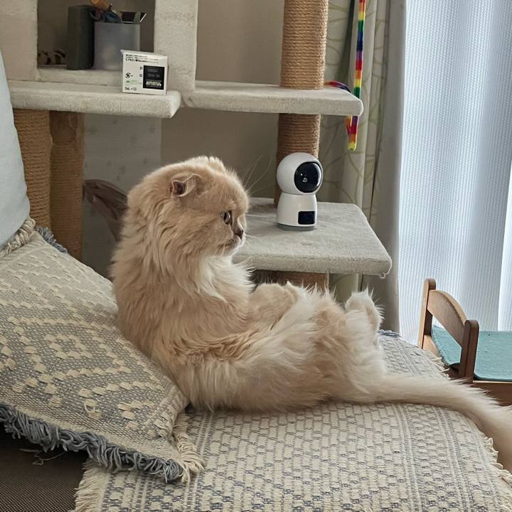 C7802396 8b3d 4d80 928b 626755303592 1769853067427