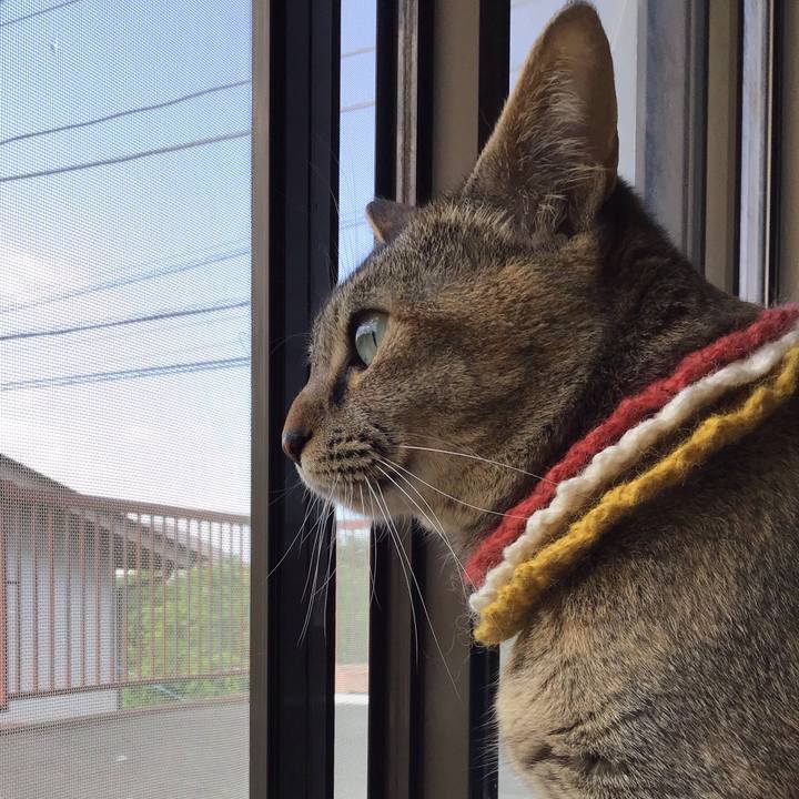 C78042c4 bdf8 4d67 9753 62fd8deced32 1622419685875