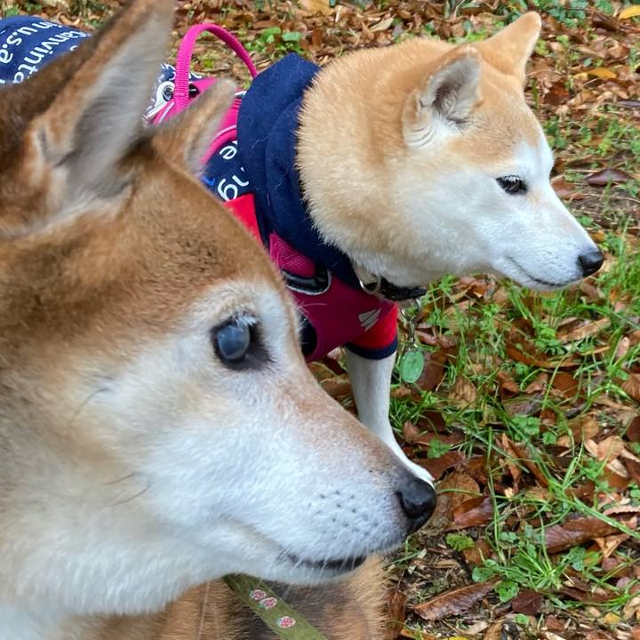 C7805269 a021 4f4a b315 a25afe0b5140 1670308832787