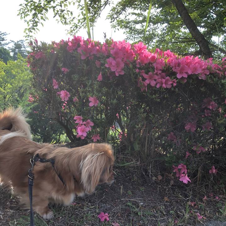 C7806b13 9276 40e1 a446 77317fee2e4c 1527380324393