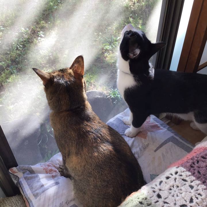 C7806ec7 2ef9 4ba1 b4a0 058d0d81c6ad 1634700470181