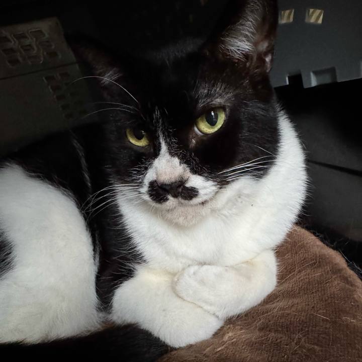 C780ee89 4f47 49c2 8347 28c925b7147d 1759967738604