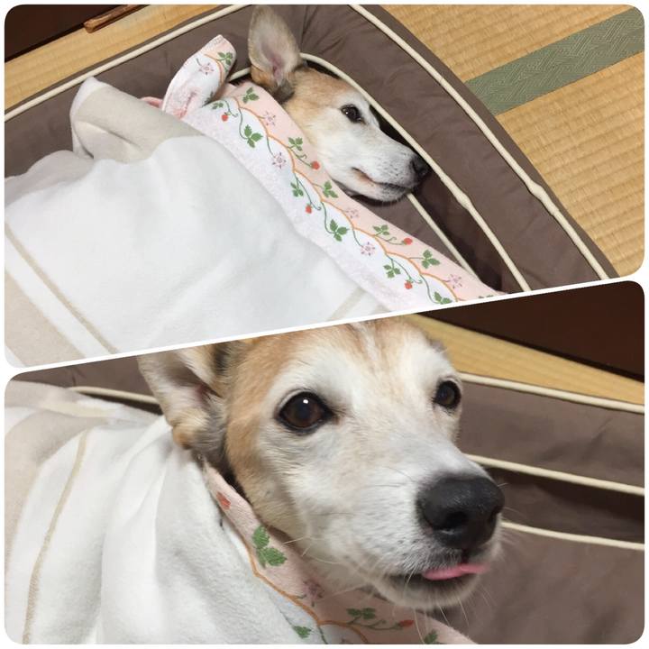 C780f7ad 5e28 4d99 91a1 dfd0223e4dfe 1508109662028