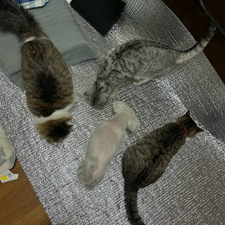 C7811de8 ad3d 4a21 a977 284479312356 1744062055314