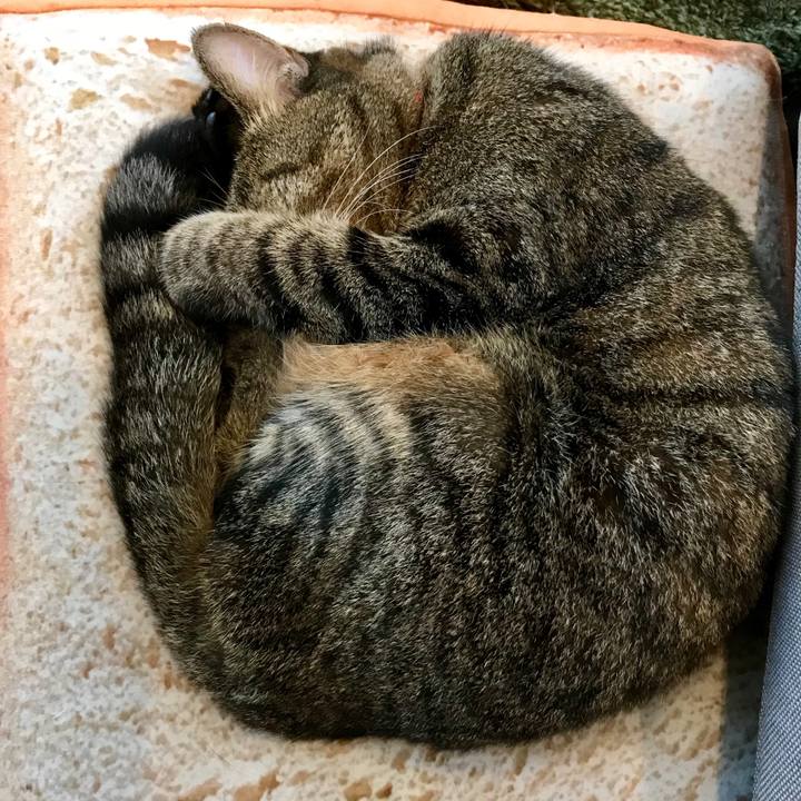 C781293f 646b 4313 b918 1d14bd8d49f7 1541638826714