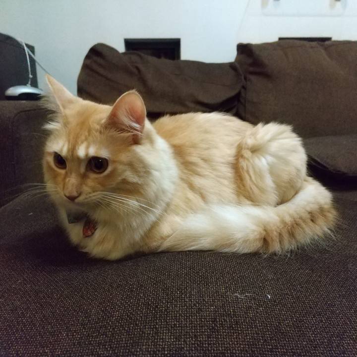 C7813201 0511 48b0 b5b0 903b70705718 1635509446710