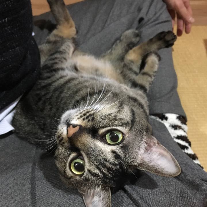 C78150b7 21ef 448d a99d aa593e79432d 1579086390962