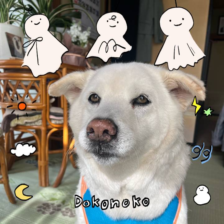 C7816ef6 8d54 48bd 943e 7372dea1b171 1749166330526