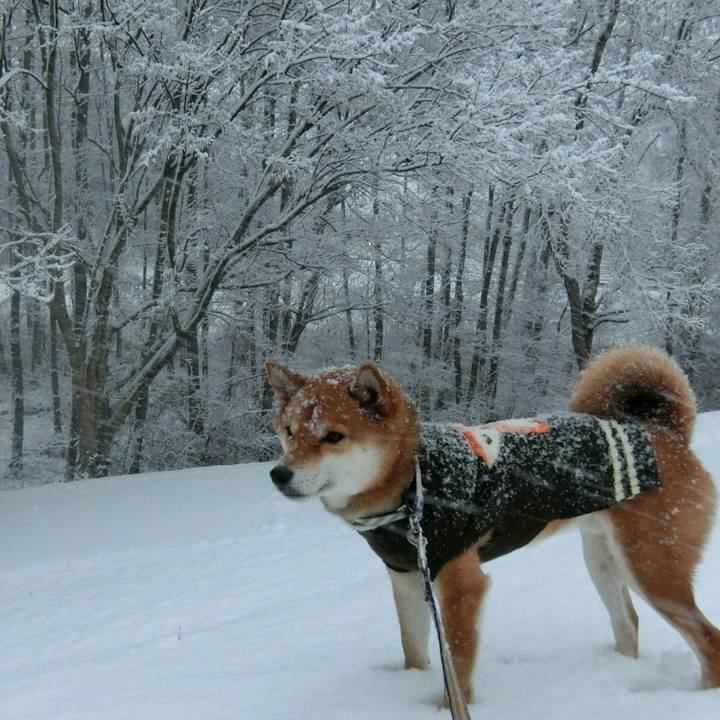 C781e616 1618 4ee2 9d11 da3802da5d4b 1516613221332