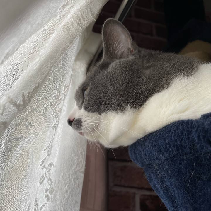 C781fe3a 697d 4580 9917 38ba43a3f7dc 1662679435579