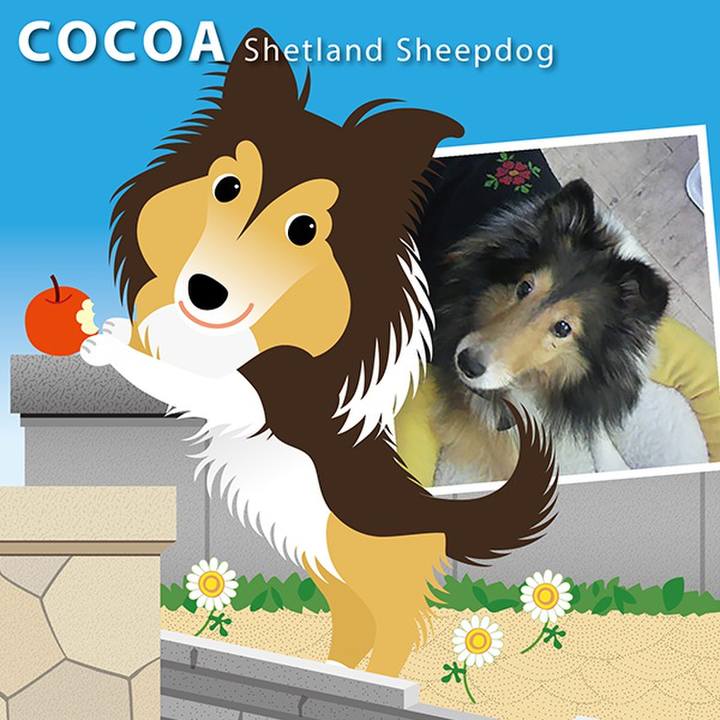 C7820b68 3558 444c 8eda 2d2788f7a0a7 1555979837917