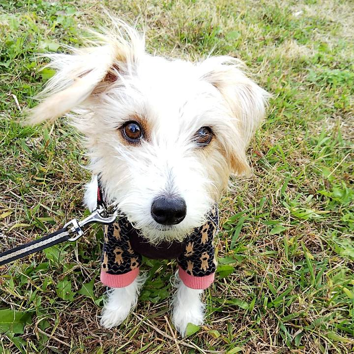 C7821b6d 7eb9 44ae 9a31 1d0c22ed6f3c 1542955835770