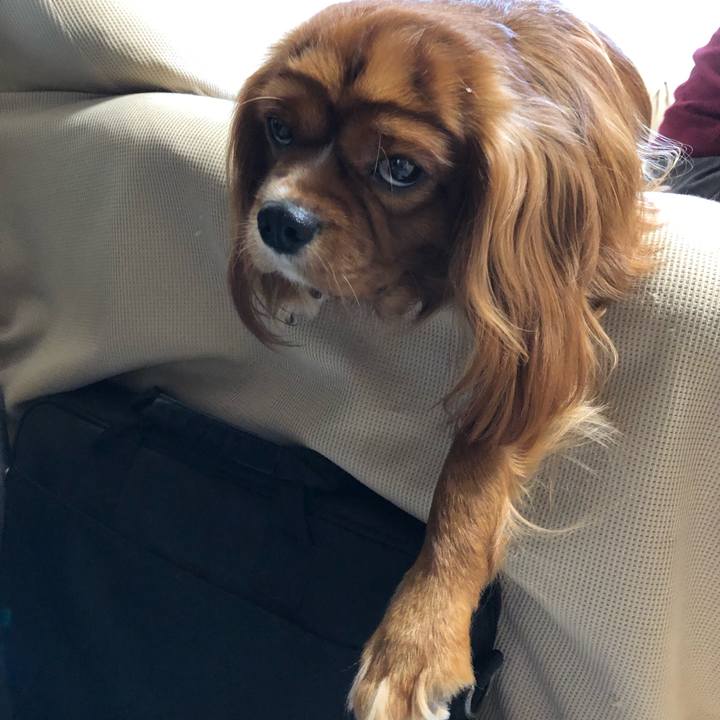 C7823577 69b5 437b acf0 af3036052c68 1569450499737