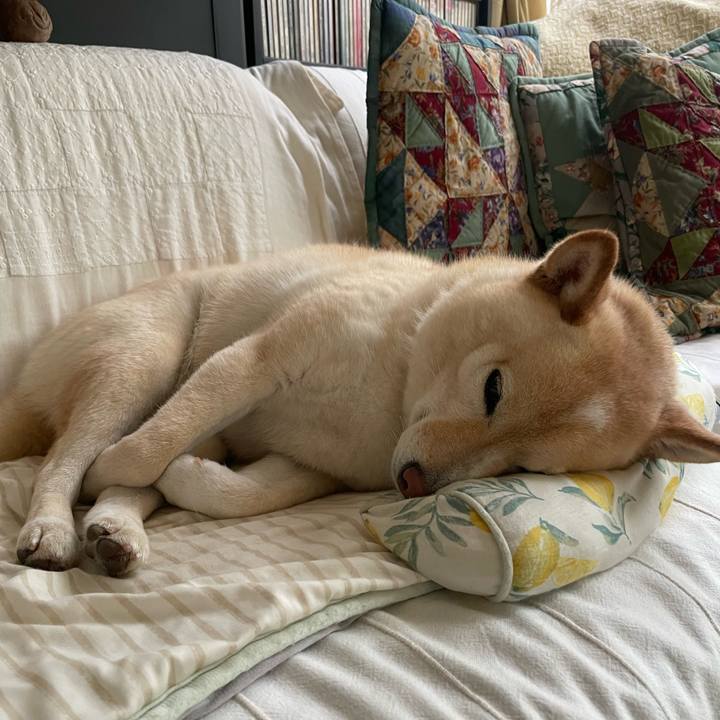 C7825706 435f 47fb b1f4 c27385684417 1719373350080