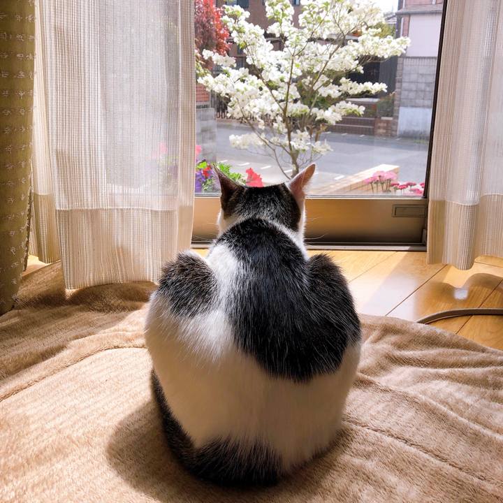 C78259b8 8f55 4129 a07a 0aa931fa975e 1618375386501