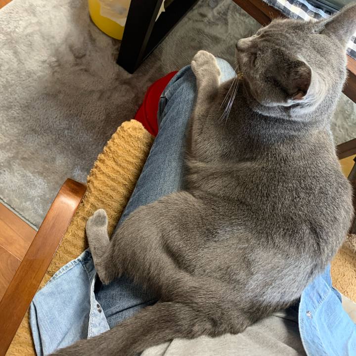 C7825e6f a7a3 425b a85f a14d7cf4f0b0 1620538000501