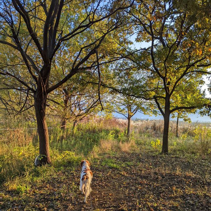 C782b2bb 3ab4 4c59 9da5 4b20813e9640 1637310582555