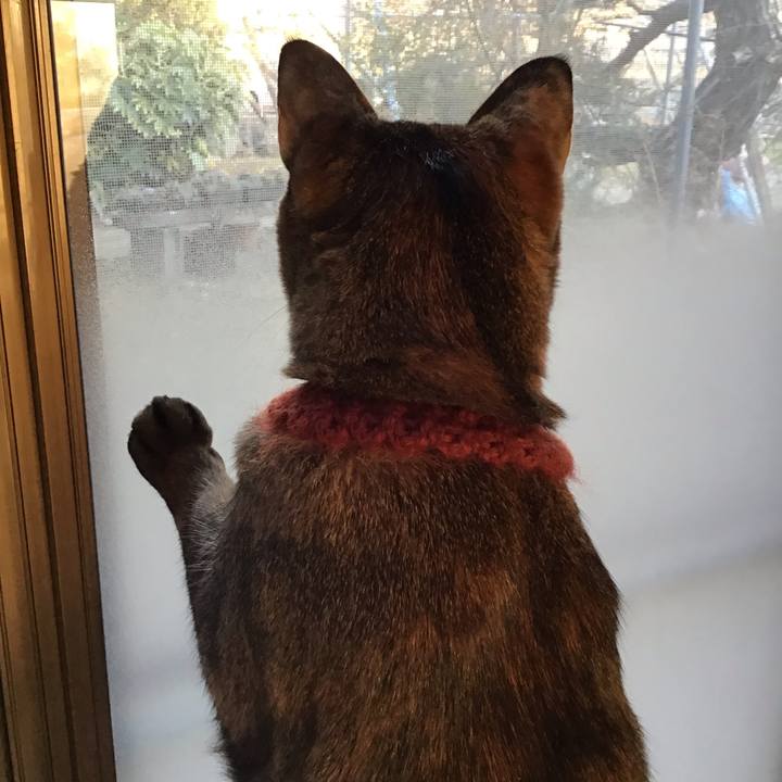 C782d77d 2116 4054 a313 6832f6b76b64 1642405271283