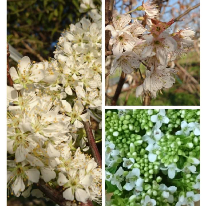 C78322db 36da 4b28 85db 85f9ea20c39a 1521281187727