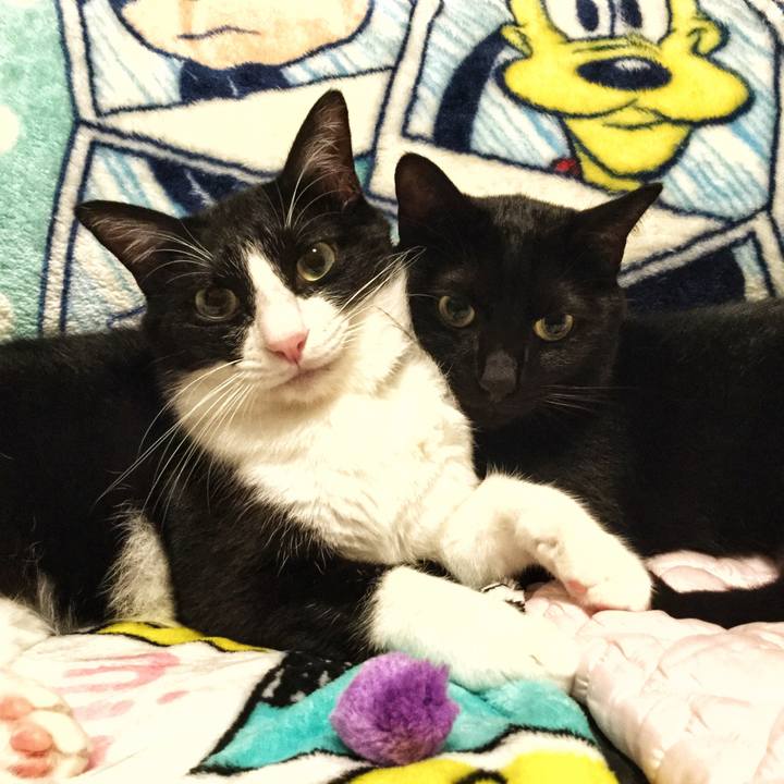 C7832b0e fae7 403d 93e6 c86bab2c2f15 1508671078198