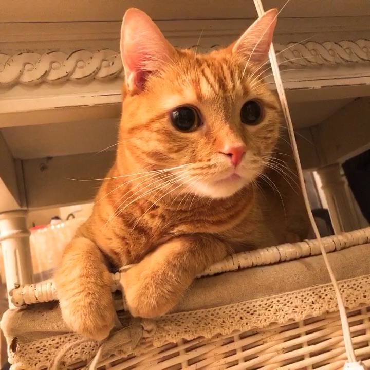 C7836065 9cfc 4b55 a22d 8e8252d249c3 1549339513477