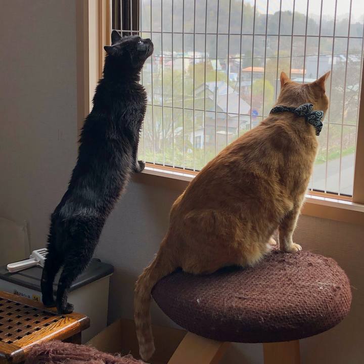 C78367b6 f950 43c5 916e 4a6860b791b5 1588463864717