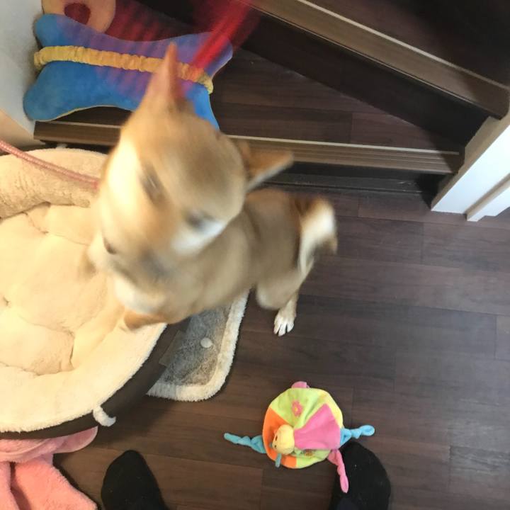 C7836cd0 7856 4a0d bb32 19014b7458b2 1514720585705