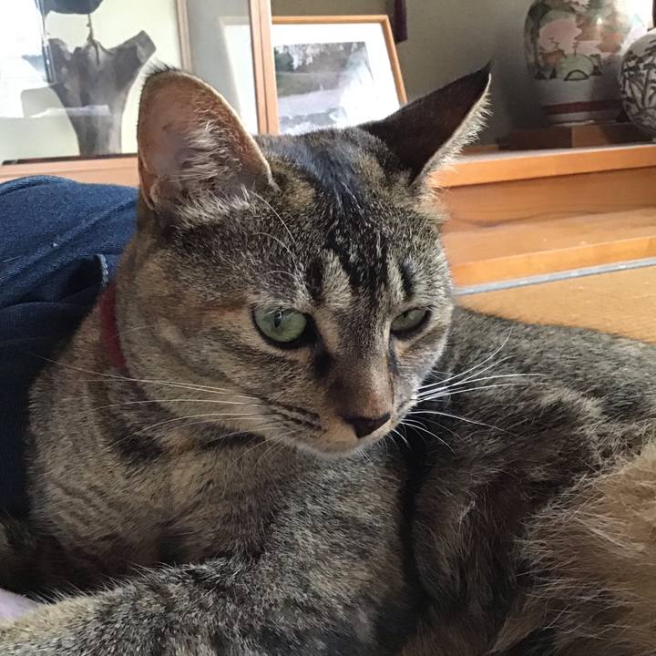 C7836f68 7ebd 4e0f 87a1 6365d8c4280d 1600415510170